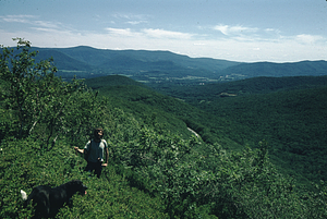 Mount Greylock to Brodie Mountain seen from heath bald near Shepherd's Well Trail.