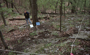 Jody Knight (Class of 1998) on the south boundary (sidehill site) working on spring ephemeral recolonization senior thesis.
