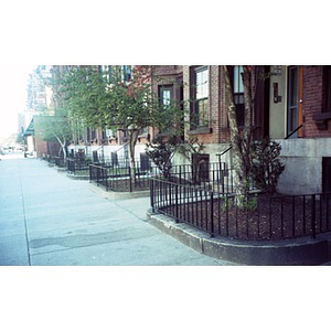 Row houses and front gardens in Boston's South End.