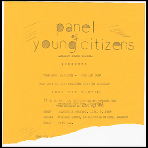 Panel of Young Citizens Roxbury Youth Council presents Senator McCarthy