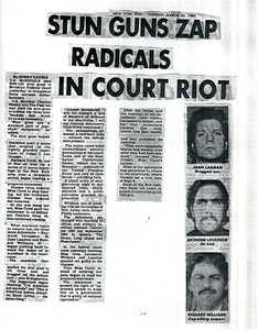 Stun guns zap radicals in court riot