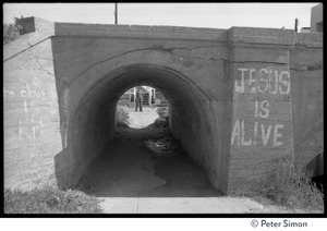 Culvert under a road in Venice with graffiti reading 'Jesus is alive'