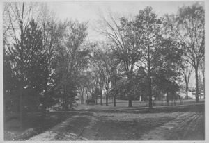 Campus Views, Roads and Walks ca. 1880s-1890s