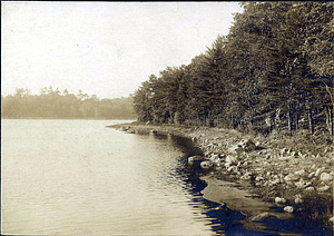 Breed's Pond, Lynn Woods, north shore
