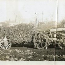 Crosby farm wagon + Fordson tractor, loaded with celery