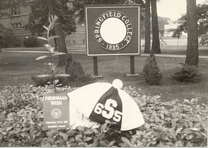 A beanie in front of an SC sign