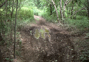 Trail erosion caused by motorized vehicles on the Taconic Crest Trail.