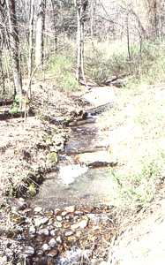 Wooden footings of the ice pond headwall dam on Ford Glen Brook west of Northwest Hill Road bridge.