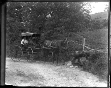 Log Trough- Bennington Road