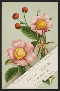 Trade card for R. Hollings & Co., elegant parlor lamps and fine gas fixtures, 547 Washington Street, Boston, Mass., 1878