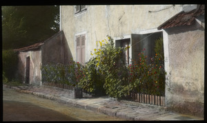 Garden in Fontainebleau