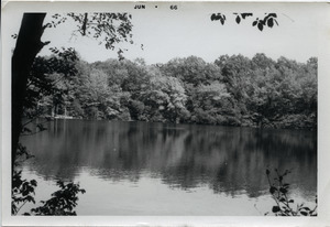 Mann's Pond along the Massapoag Trail (side view)