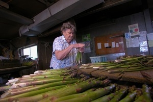 Hibbard Farm: woman at a round table, sorting and bunching asparagus