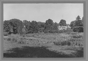 Campus Views, Fields and Gardens