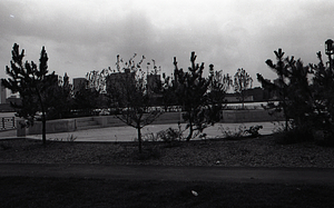 East Boston street view