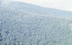 Aerial oblique view from the north of the Taconic Trail (NY Route 2) to White Rocks and Taconic Crest Trail in southwestern Hopkins Forest on 14 July 1971.