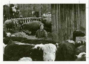 Man in a Barn.