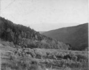 Above Flora's Glen, ca. 1897