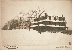 Amity Street after the Blizzard of 1888