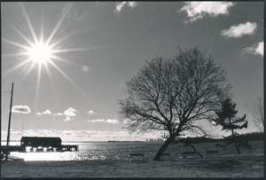 'Nahant Wharf' by Francois Bourrn