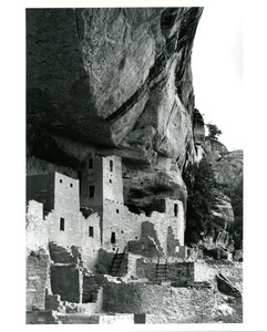 Cliff Palace, curved cliff