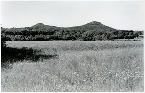 Holyoke Mountain Range from the Gray property