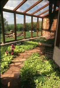Greenhouse interior at Brian McCue's house