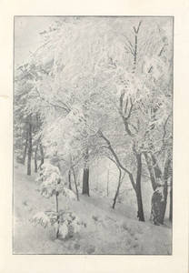 Wintery Scene of Lake Massasoit at Springfield College