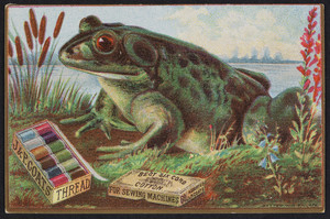 Trade cards for J. & P. Coats' Best Six Cord Cotton Thread, location unknown, 1881