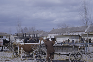 Livestock section of Pančevo market