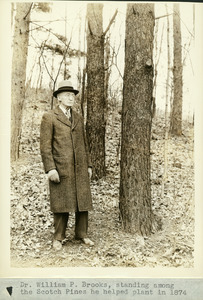 William P. Brooks standing among pines
