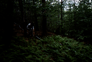 Hayscented Fern Study. 7. Andrew Werbrock (Class of 2000) laying out permanent plot near Taconic Range ridge.