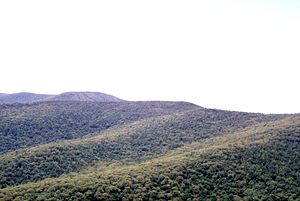 Aerial oblique view upper Middle and South Branches Birch Brook watershed ridges on 28 May 1972 in the Hopkins Forest.