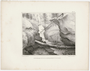 Gorge and falls in Royalston, N.W. part