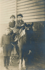 Some of the McCoy kids getting their photo taken with a pony on Amory Street, Jamaica Plain