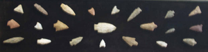 A collection of Indian arrowheads unearthed by Henry Ford (the farmer) of Stoney Brook Acres