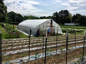 Farming in Winchester 2018, Wright-Locke Farm today, putting up the roof on the greenhouse