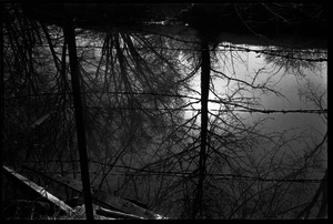 View of a stream through barbed wire