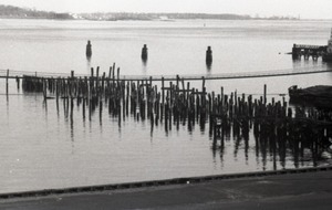 Wood pilings in the water
