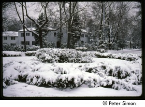 Elegant house and surrounding plantings under heavy snow, Riverdale, N.Y.