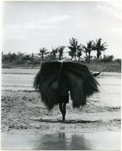 Man carrying thatch