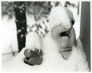 Pig statuettes with snow