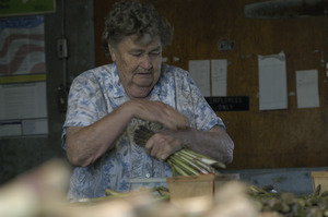 Hibbard Farm: portrait of a woman bunching asparagus, possibly Enid (Mrs. Wallace) Hibbard