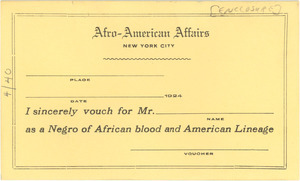 Afro-American Affairs New York City