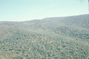 Aerial oblique view watershed divide of Middle Branch (left) and North Branch (right) of Birch Brook on 14 October 1971.