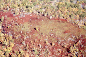 Aerial oblique close-up view heath bald at plot 1205 on 14 October 1971.