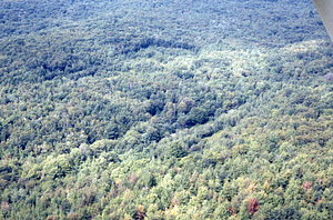 Aerial oblique view west across the Moon Lot - Primmer Lot on 2 Sept 1971.