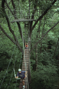 Josh Solomon (Class of 1997) and friend on the canopy walkway.