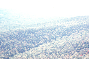 Aerial oblique view of Taconic Range on 14 October 1971, Frost Hollow, Pownal Vermont.