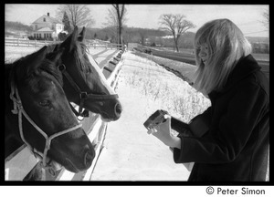 Karen Helberg playing guitar for two horses in a snowy paddock